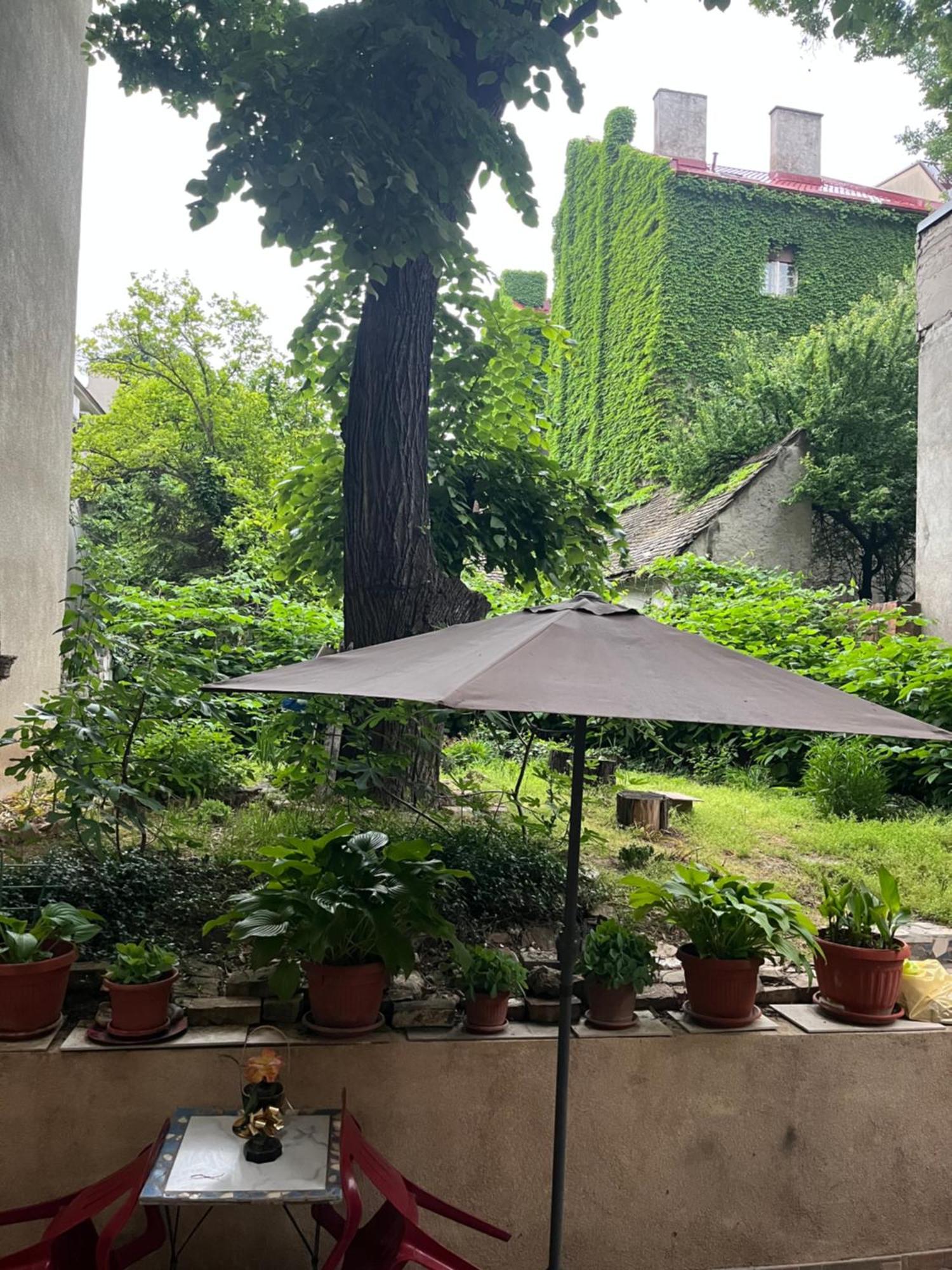 Mosaic Apartman Belgrád Kültér fotó